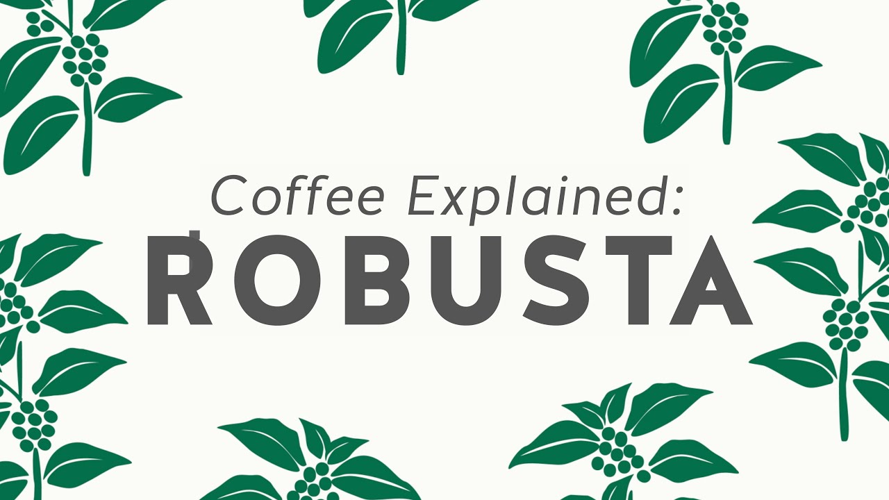 Coffee Explained: Robusta Blend Coffee