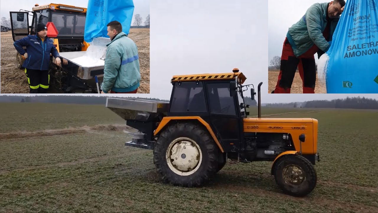 Nowy nabytek Andrzeja w akcji! Ursus C-355 Turbo i rozsiewacz Langren sypie białe złoto