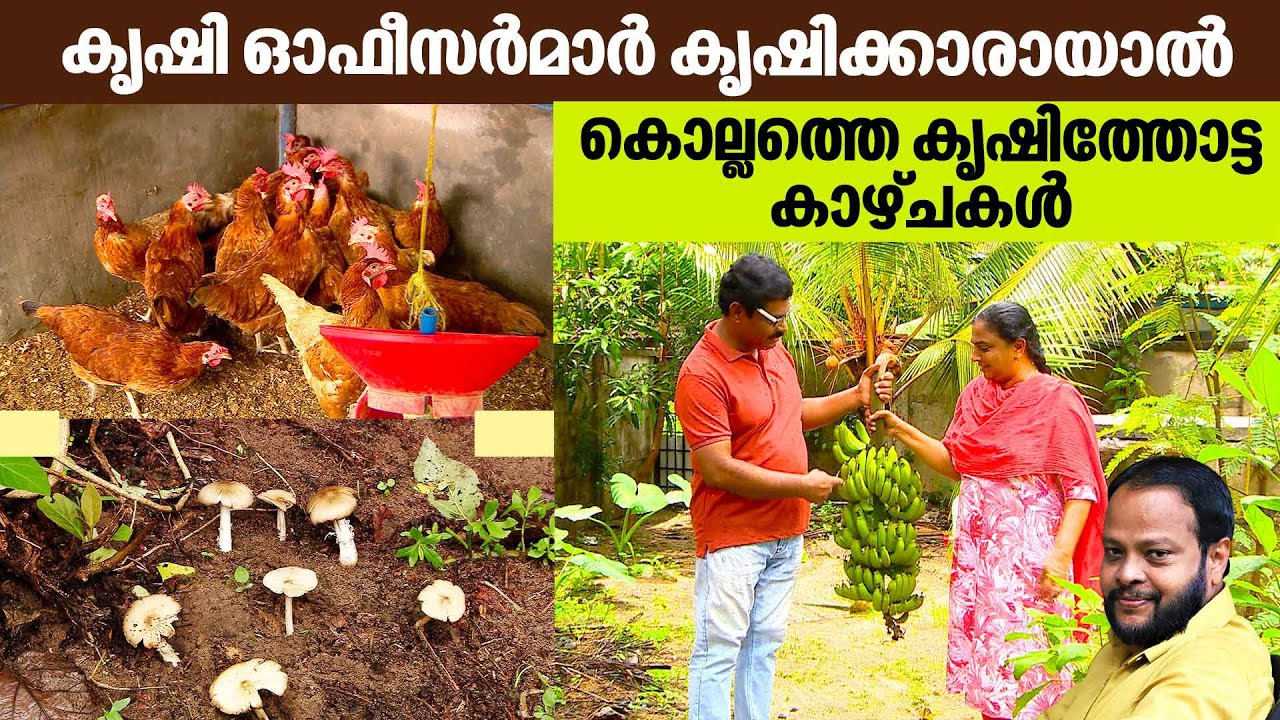 കൃഷി ഓഫീസർമാർ കൃഷിക്കാരായാൽ, കൊല്ലത്തെ കൃഷിത്തോട്ട കാഴ്ചകൾ | Haritham Sundaram EP 381