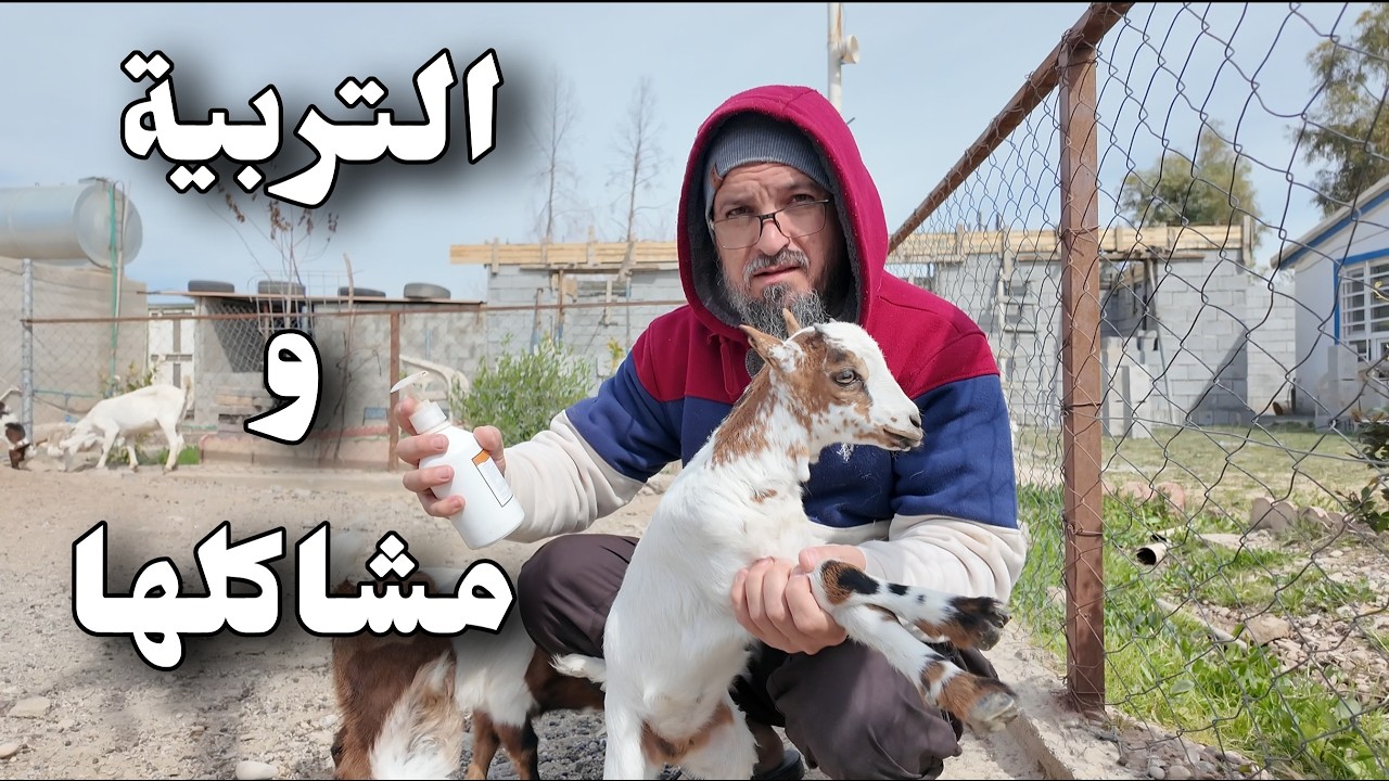 حال  المزرعة بعد العودة من العمرة،تكلفة رباط كونكريت مسلح لبيت 40 متر مربع،لماذا يتمرض المواليد(282)