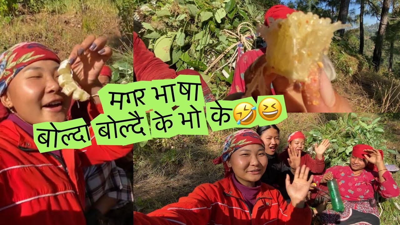 अमिलो खानि कार्यक्रम🤤🤤