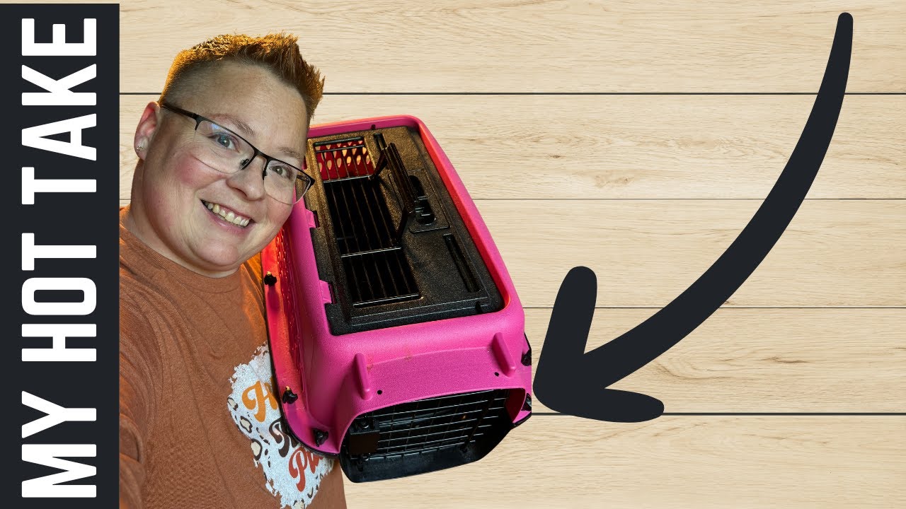 MY HOT TAKE: Top Loader Pet Carrier