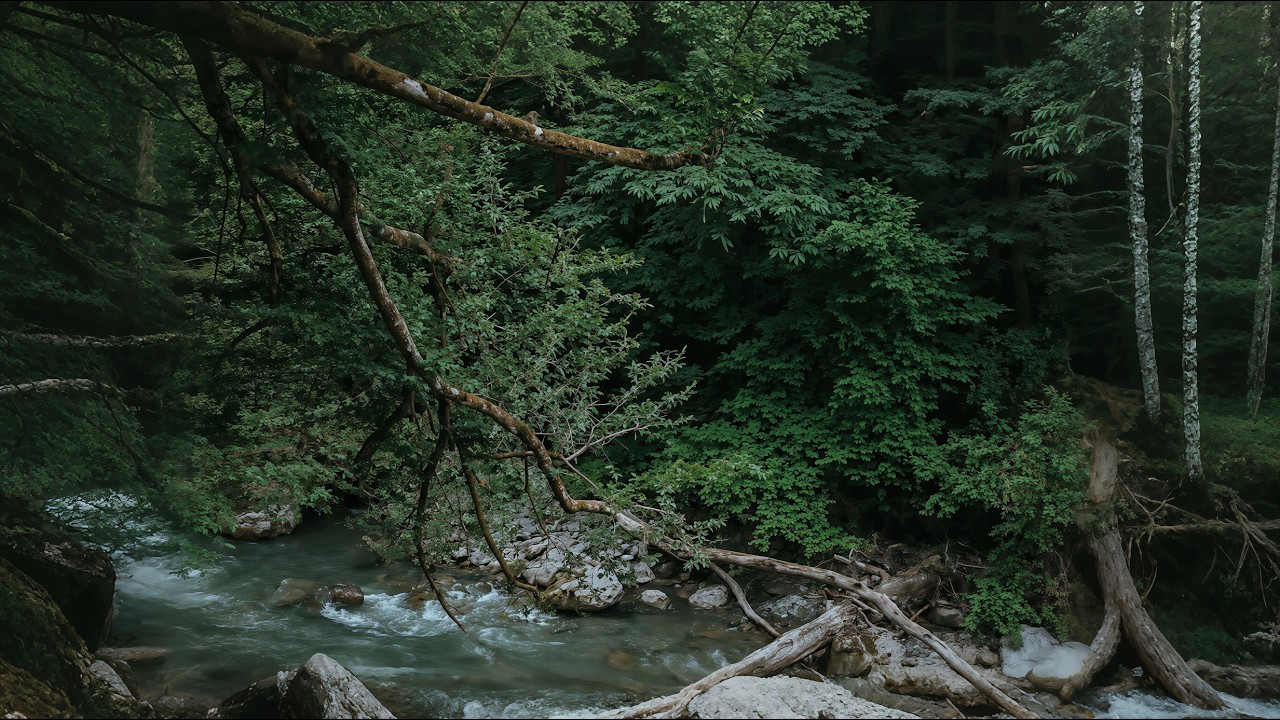Peaceful River Sounds to Fall Asleep Fast