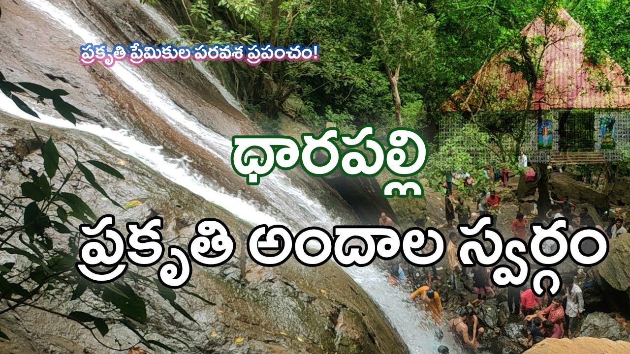 Hidden Waterfall in Andhra Pradesh | Beautiful Nature in Telugu | Mana Nature Vlogs