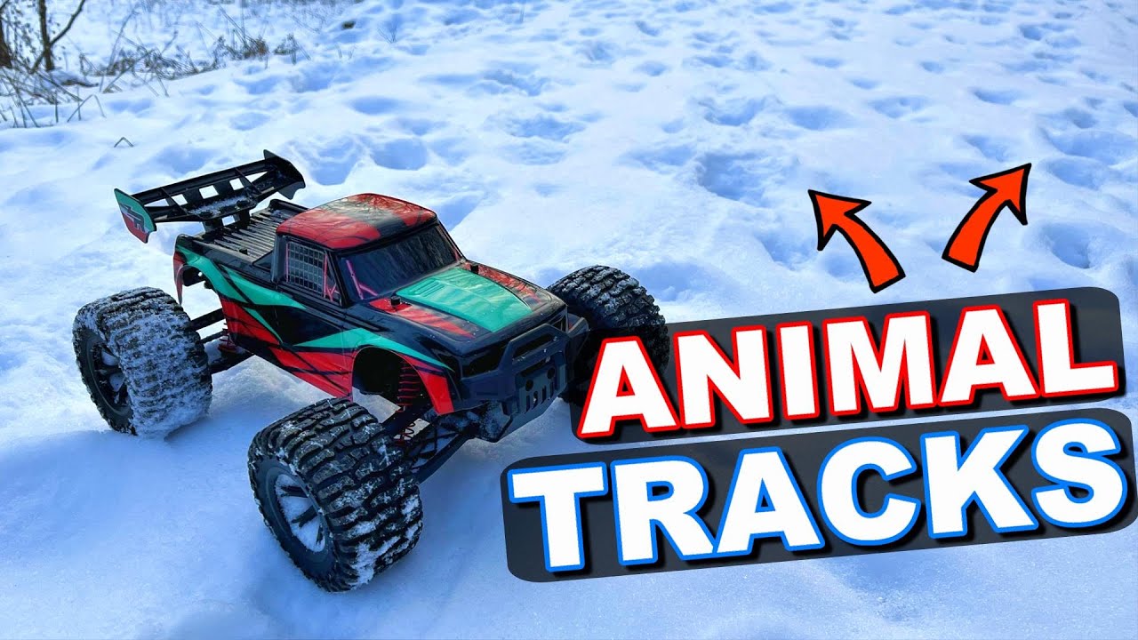 SCARY TRACKS FOUND WHILE DRIVING RC MONSTER TRUCK!!! - ZROAD 1/10 RC Car - TheRcSaylors