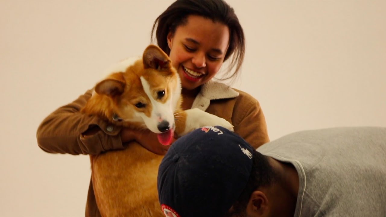 We Surprise Students With Puppies