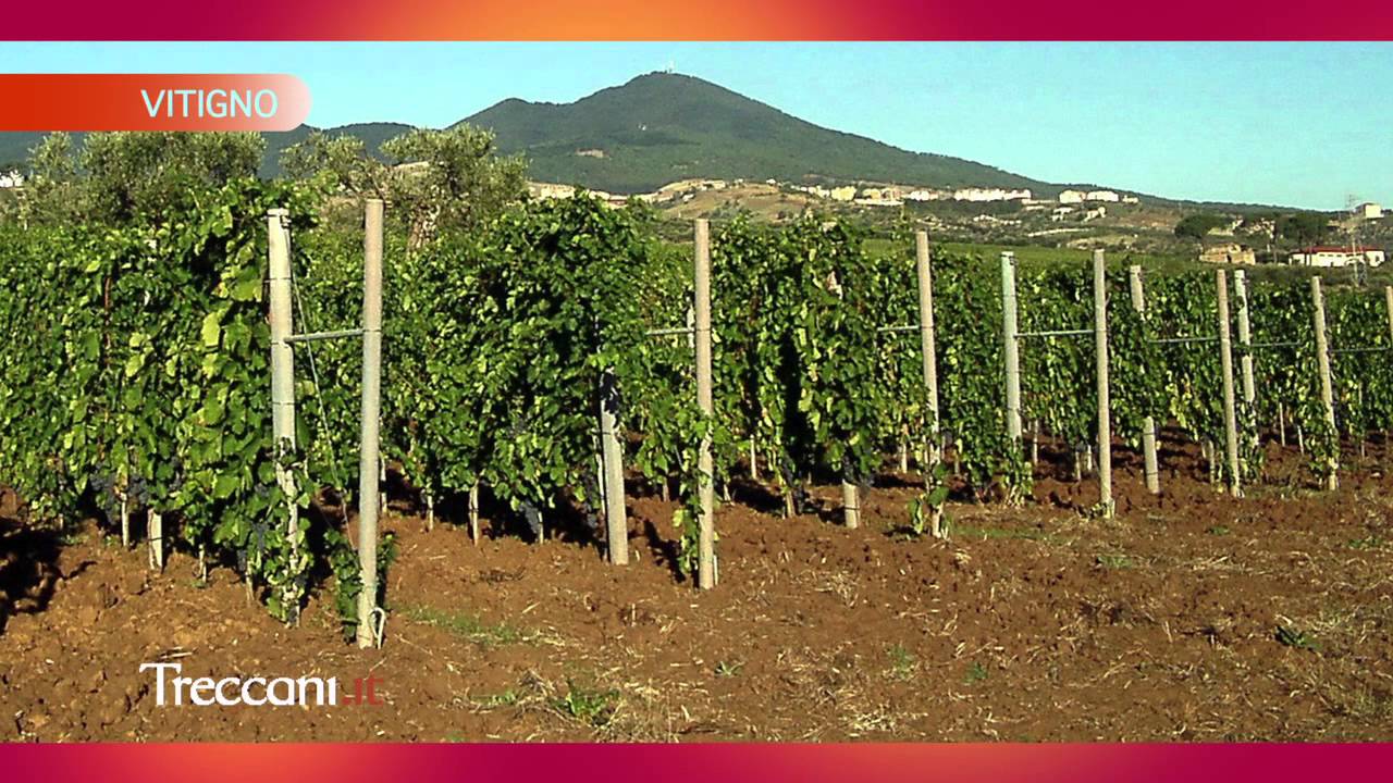 Alla scoperta dell'Aglianico del Vulture