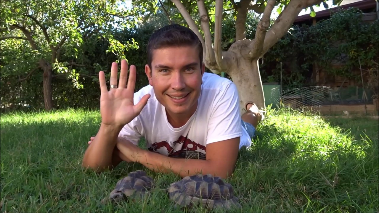Nourrir ses tortues avec son jardin