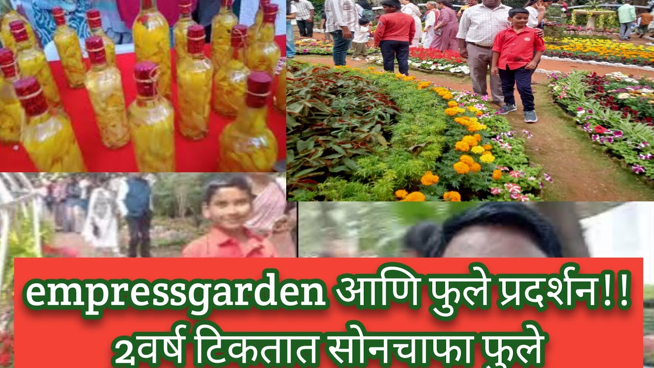 #2वर्ष टिकतात सोनचाफा फुले आणि सुगंध |#empressgarden आणि फुले प्रदर्शन!!