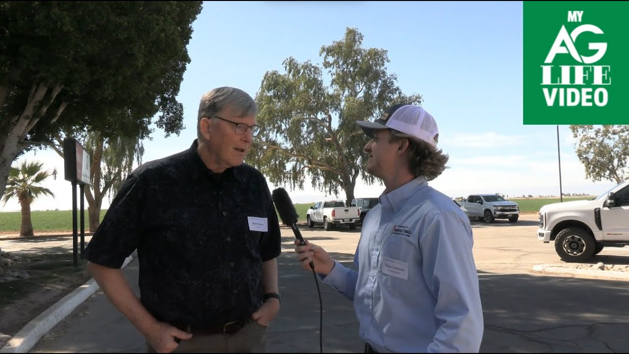 What is Being Done to Improve Alfalfa's Water Usage in California?