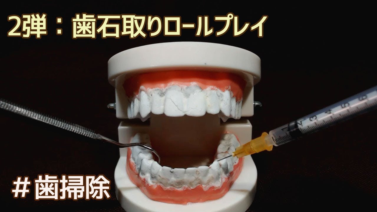 音フェチ・第２弾。歯掃除・強力な🦷掃除✨dental check up sound