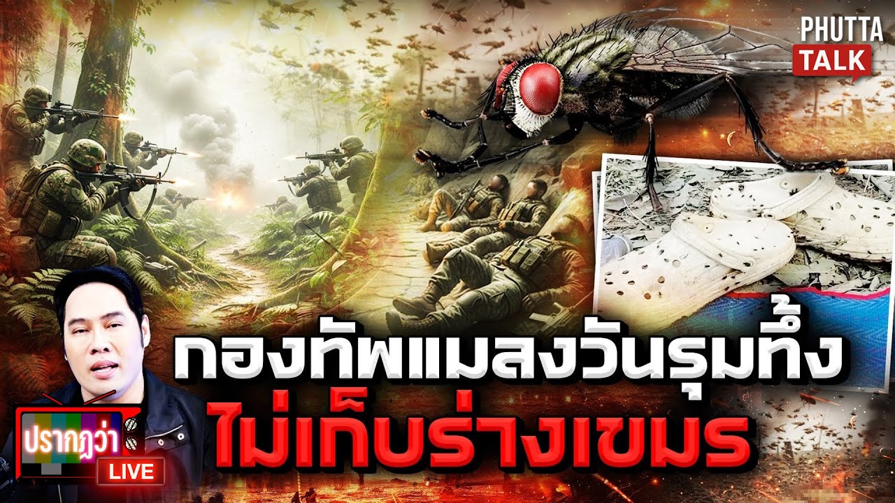 กองทัพแมลงวันบุกพระวิหารแทะร่างเขมร ทหารไทยซวยอ้วกจนผอม l ปรากฏว่า live l 27 ธ.ค.68