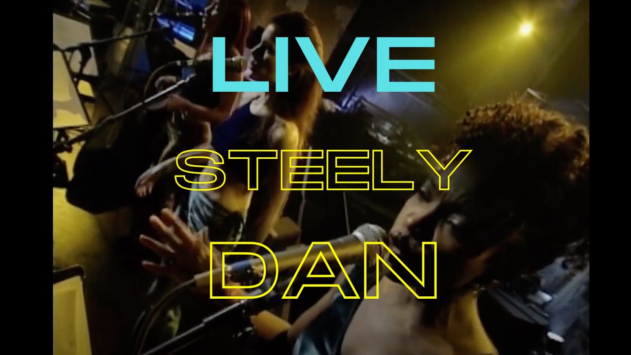 🎸 LIVE 🎹 Steely Dan Live in NYC 2000 Awesome 🔥 THE STRAIGHT CONCERT!