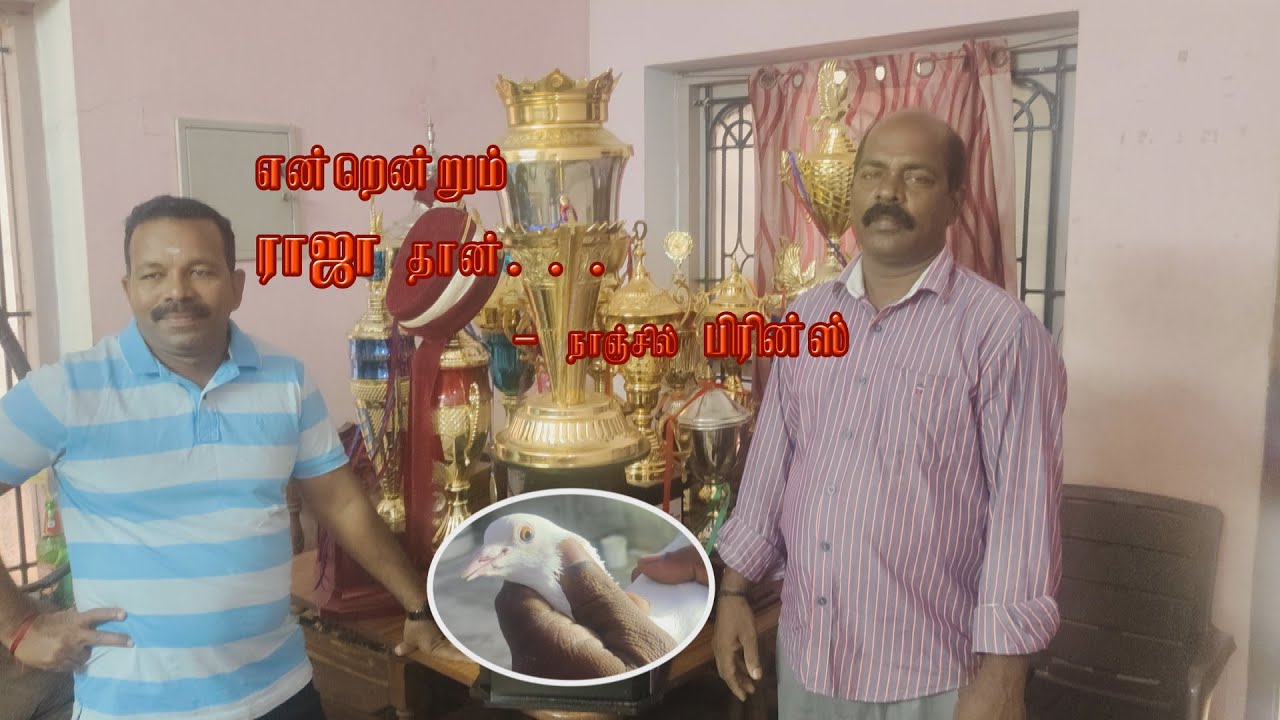 Raja Avargaludan Nanjil Prince - Prince Pigeon World