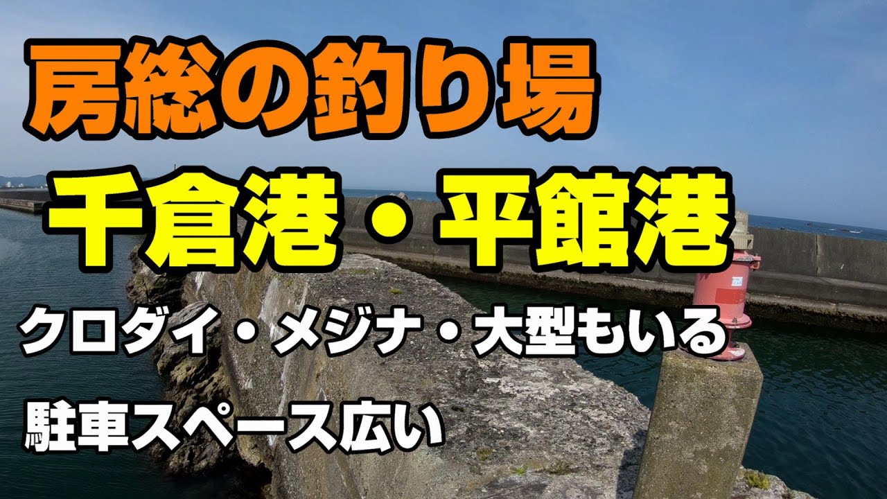 房総の釣り場、千倉港・平館港、 クロダイ・メジナ・スズキ・アオリイカ釣れる。ダンゴ釣りがおすすめで、大型も釣れます。