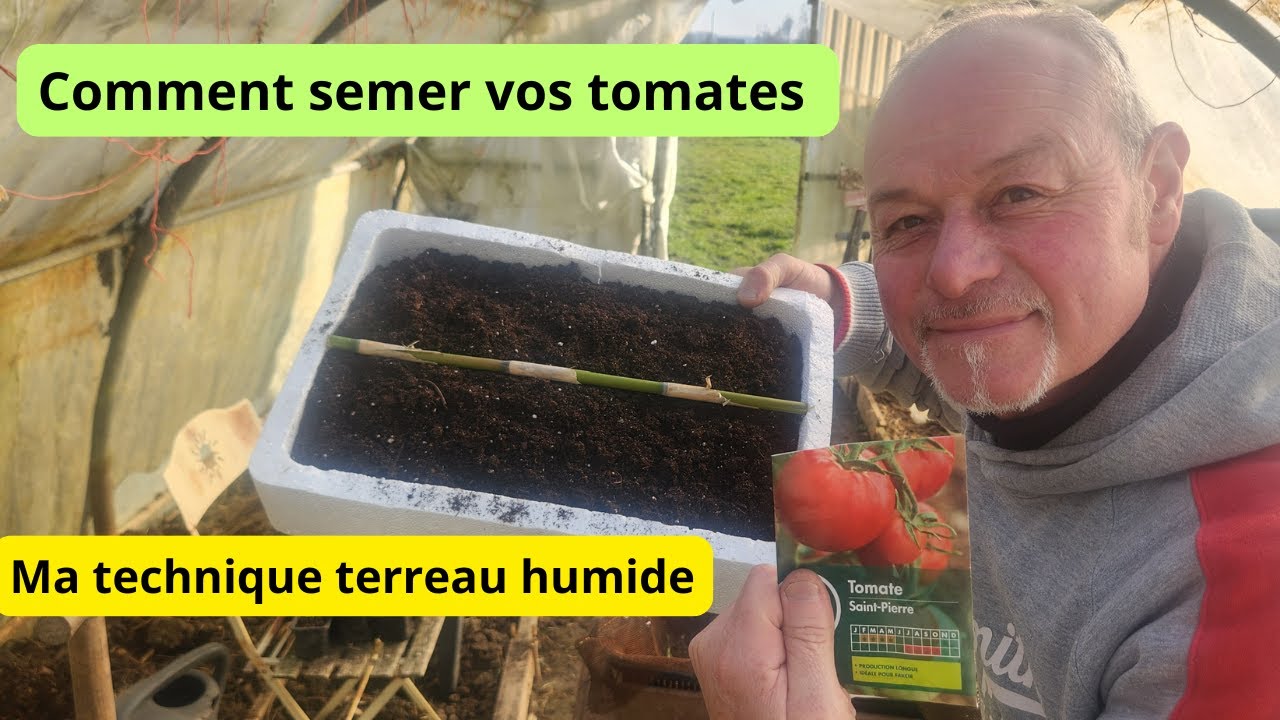 Comment faire un Semis de tomates ? regarder ma technique  terreau !