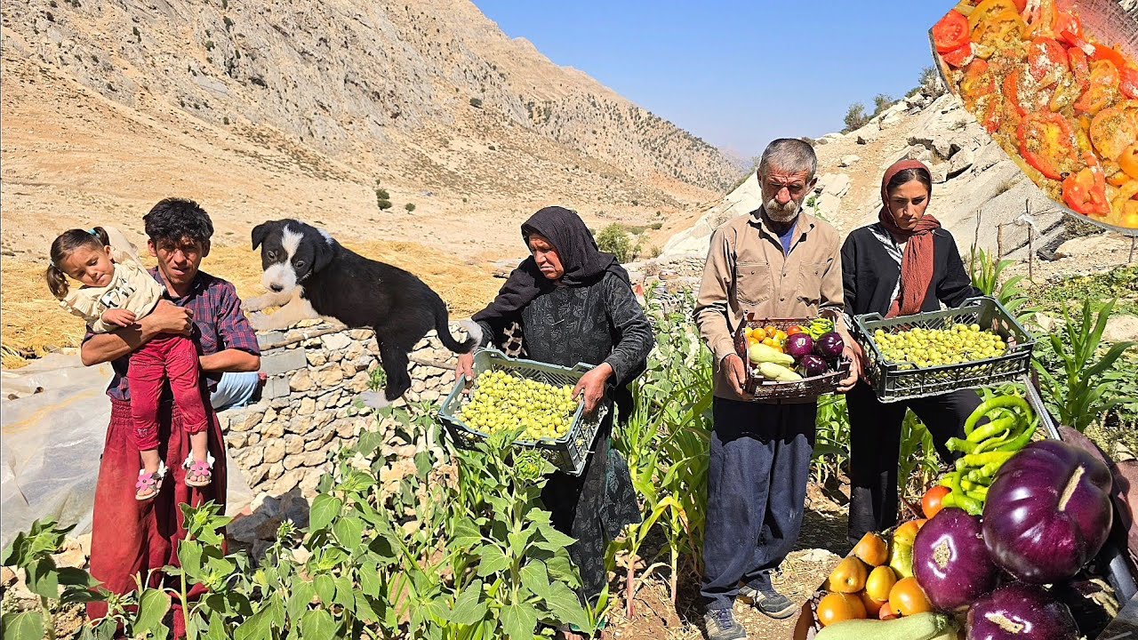 🌶🍆lran nomadic life: Harvesting wild pears and tomatoes, natural eggplant from the nomad farm