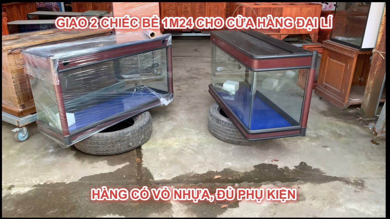BÀN GIAO 2 CHIẾC BỂ 1m24 VỎ NHỰA CHO CỬA HÀNG ĐẠI LÍ || HÀNG KÍNH ĐÚC, ĐỦ PHỤ KIỆN