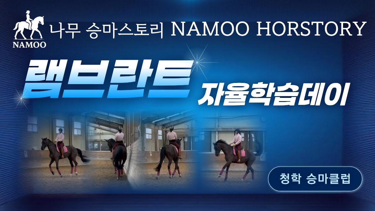 [나무승마] 램브란트 내맘대로타기 | 사횡보 | 숄더인 | 플라잉체인지 | 단일완곡구보 | 취미승마 | 승마브이로그
