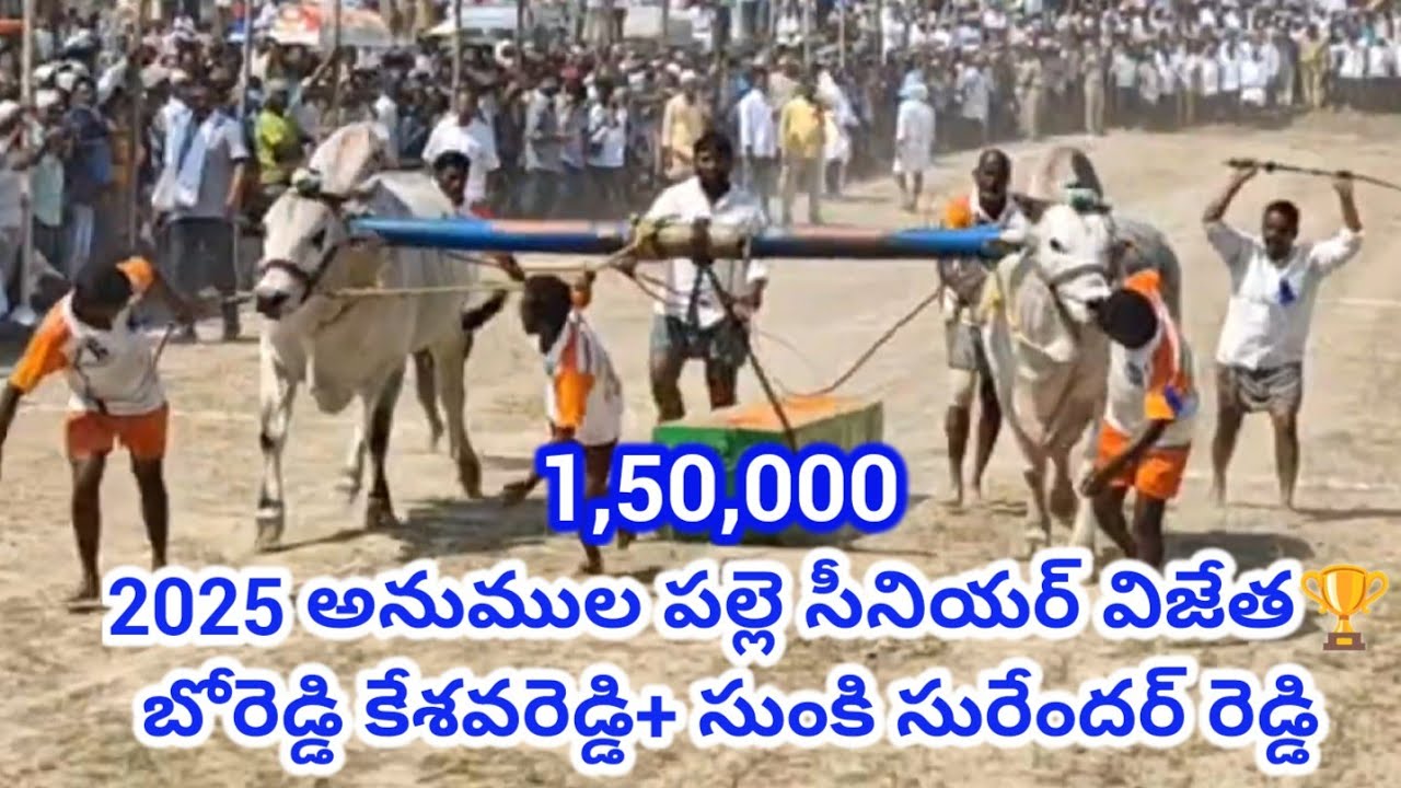 BRKR+SSR (వీర నరసింహరెడ్డి+jr గాంఢివం) అన్నం పల్లె సీనియర్ విజేత 🏆 2025