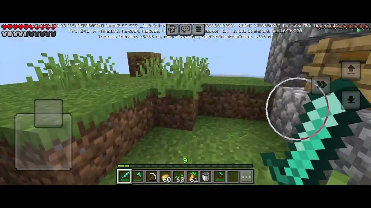 Minecraft Part 4 bulid a farm