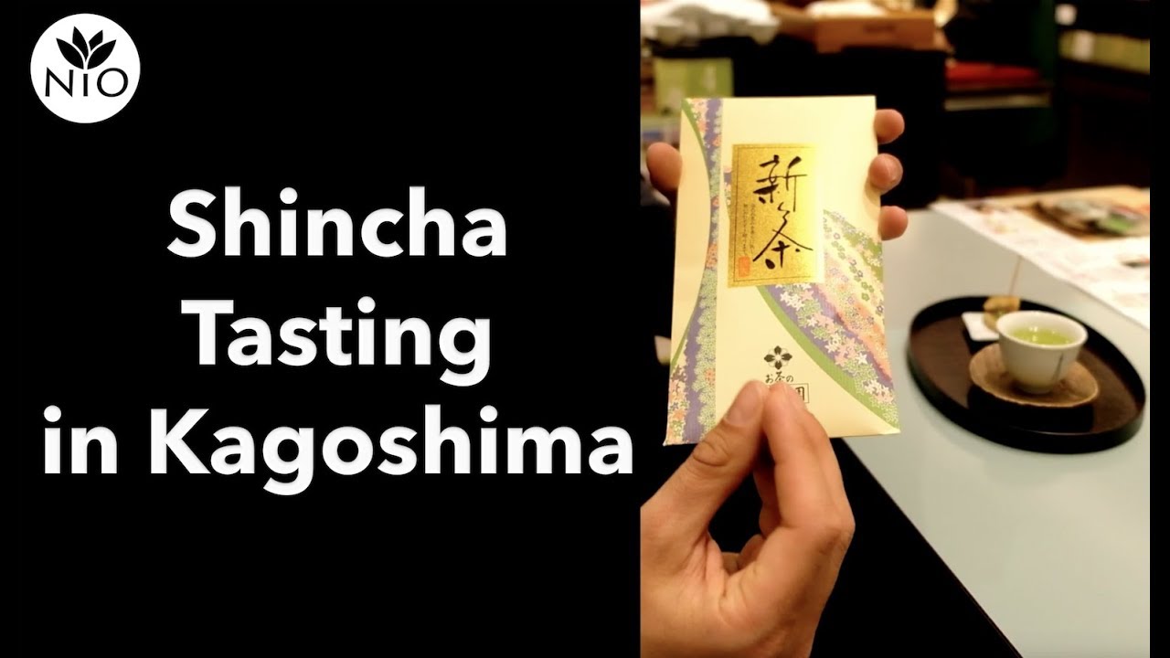 Shincha Tasting in Kagoshima