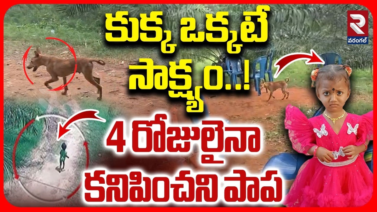 కుక్క ఒక్కటే సాక్ష్యం..! | Kakinada Missing Updates | 2 years Old Girl Missing in Tuni | RTV