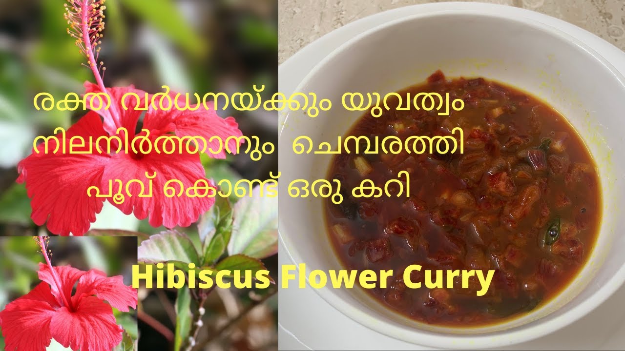 Hibiscus Curry | Botox Plant | Chembarathi Curry | Hibiscus Curry For glowing  Skin | Flower Recipe