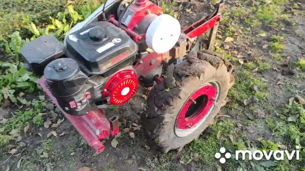 Оранка гірчиці мотоблоками Weima WM 1050 проти Мотоблока Husqvarna TF 545P