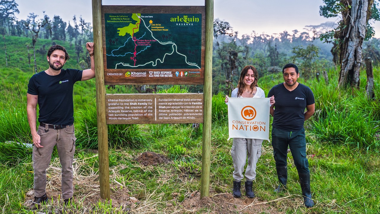 Arlequín Reserve urgent expansion has been completed!