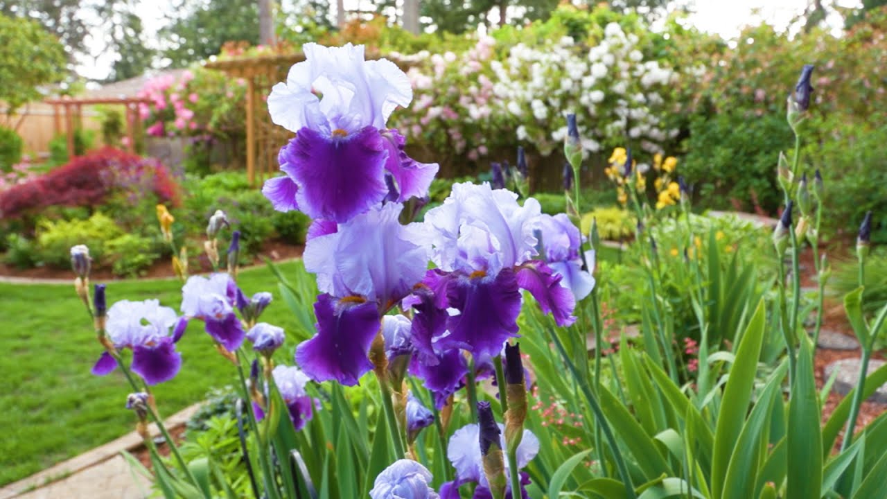 University Place Garden Tour - Ryken Garden