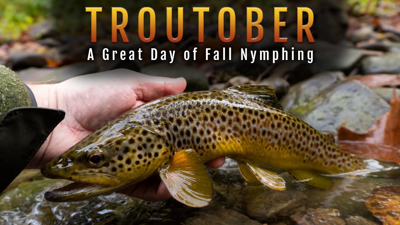 AWESOME Fall Day Euro Nymphing Brown Trout