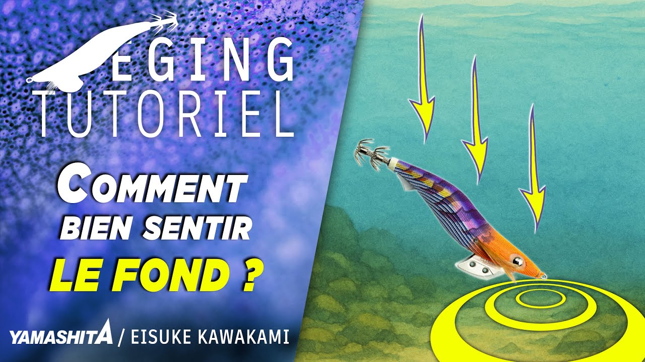 🪨✅ 🎣 La méthode infaillible pour détecter le fond en Eging 🦑