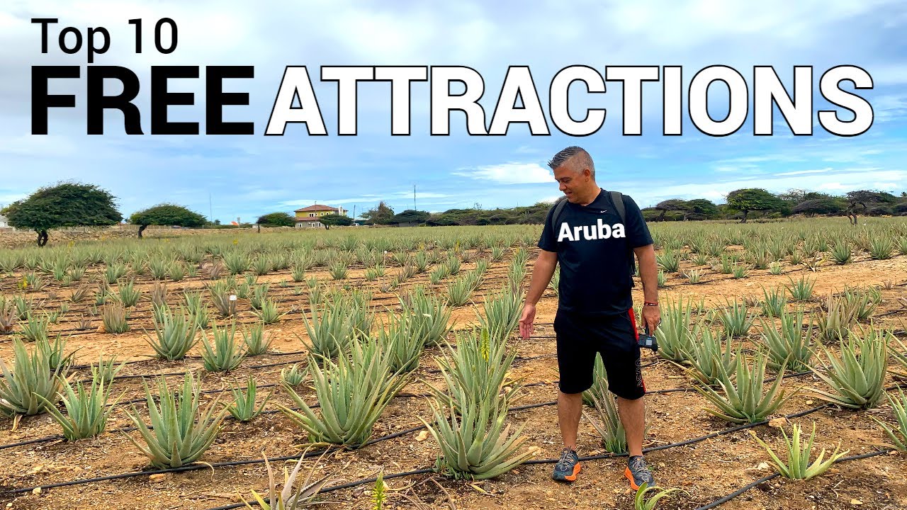 TOP 10 FREE things to do in ARUBA 🇦🇼🆓👌🏼