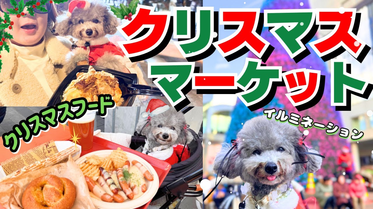 【爆食い】愛犬とクリスマスマーケットで大はしゃぎ🎄大阪スカイビル 　中之島プロジェクションマッピング 御堂筋イルミネーション2024
