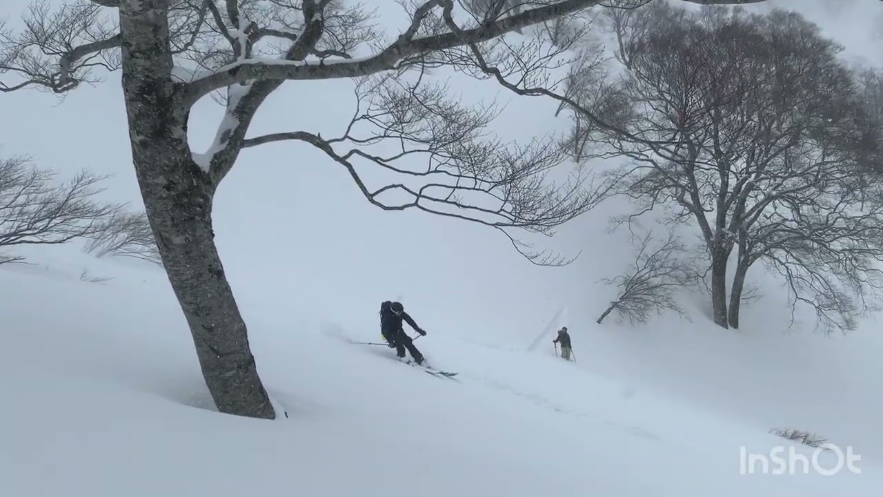 【登山スキー】湯殿山と姥ケ岳ダイレクト尾根