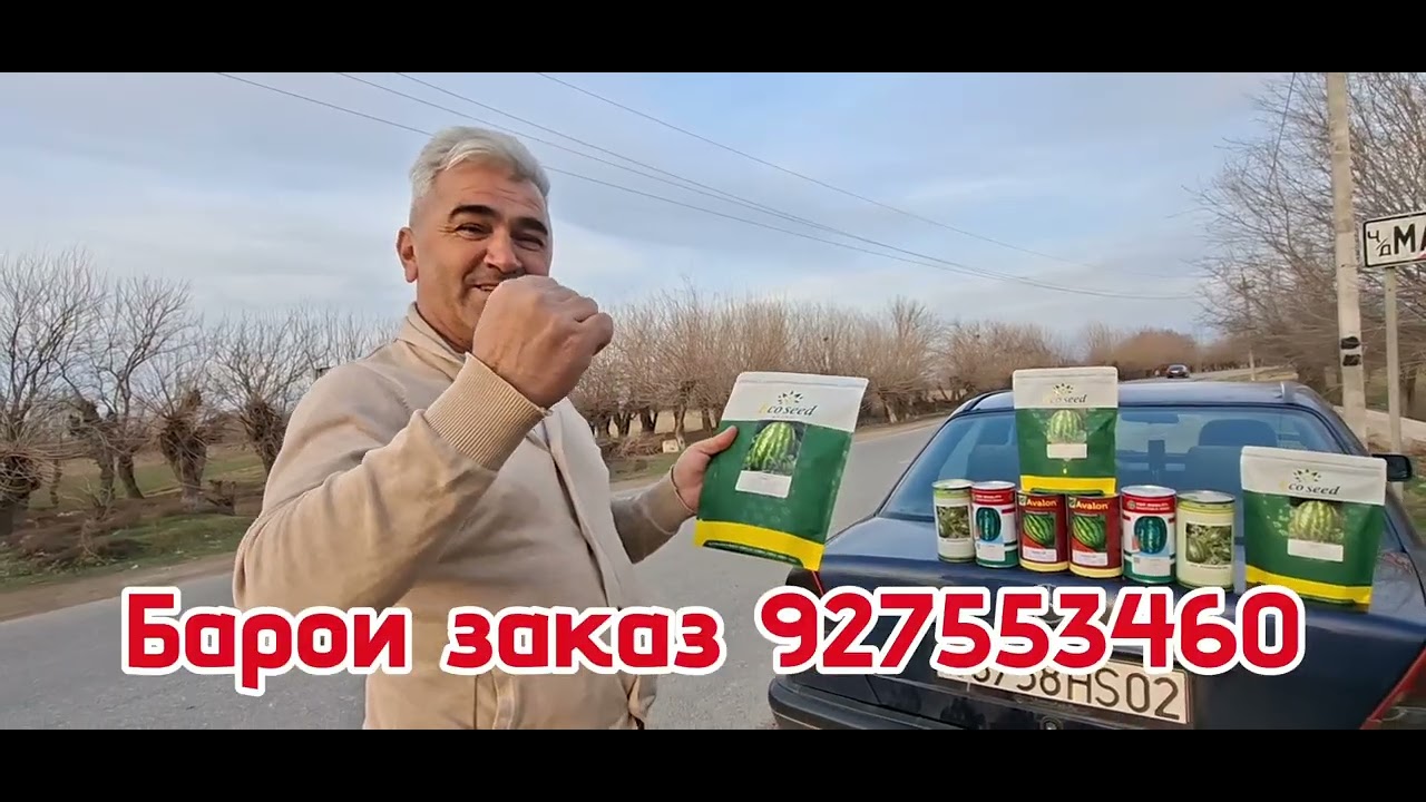 Гигант Чемпион ба фурӯш гузошта шуда тухми и аълосифат тарбуз 
