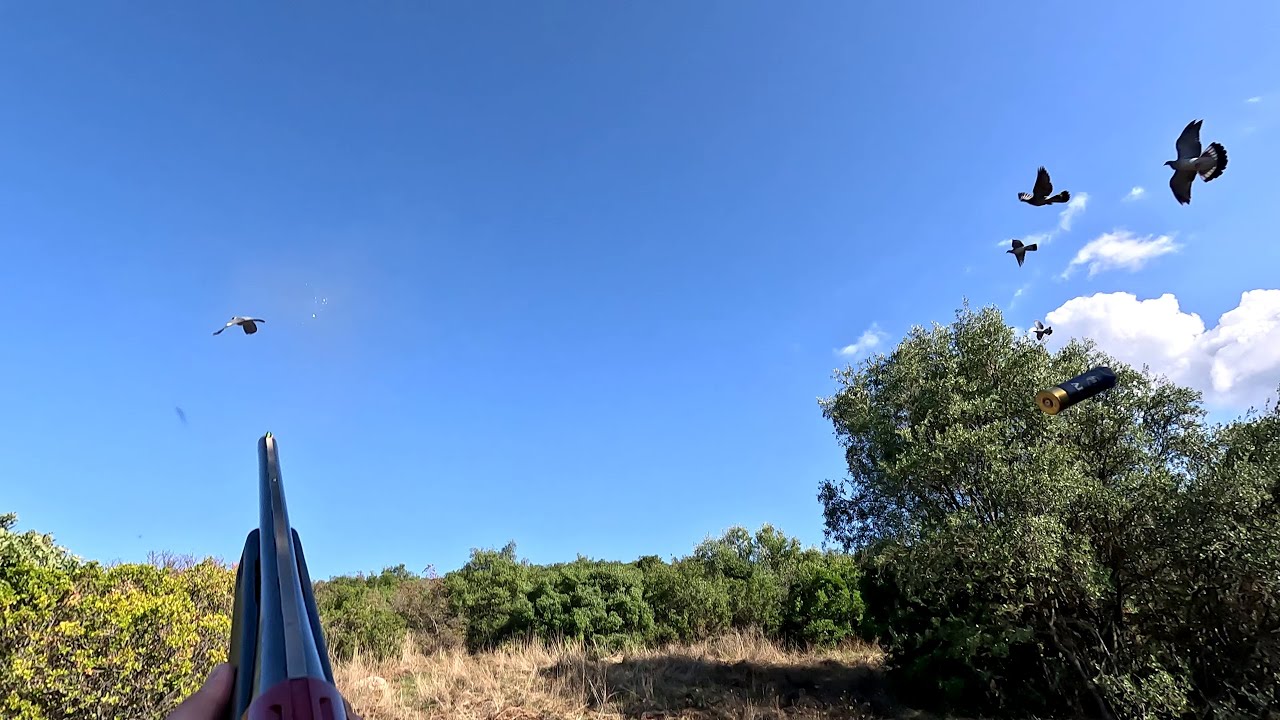 &kappa;&upsilon;&nu;&eta;&gamma;&iota; &phi;&alpha;&sigma;&sigma;&alpha;&sigmaf; 4k video -GoPro 11