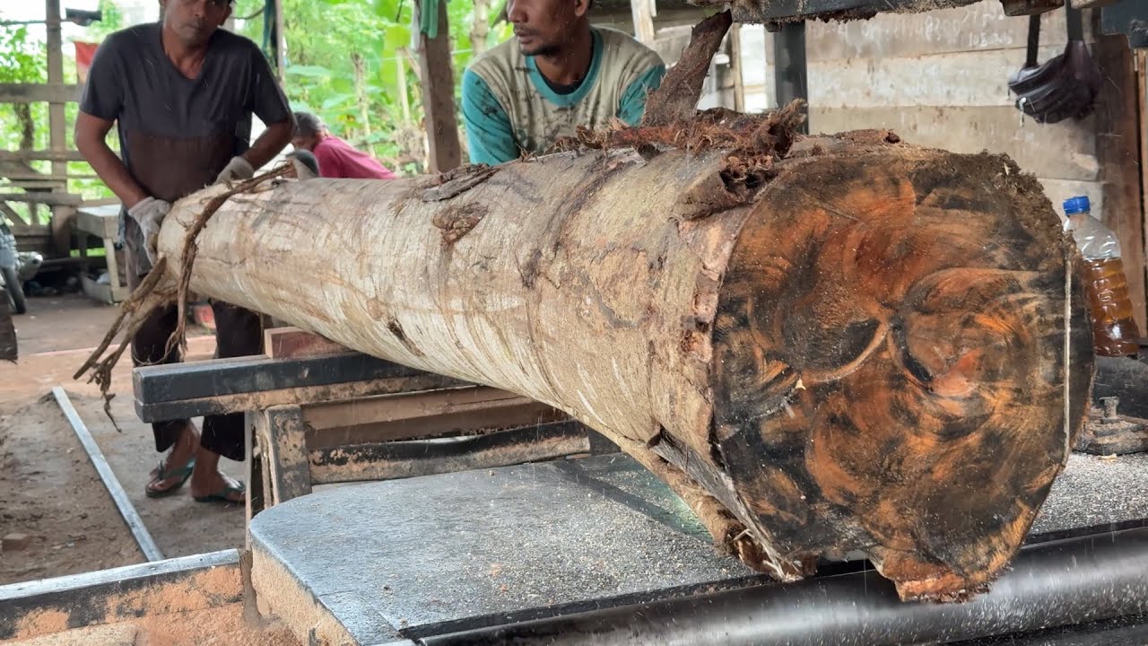 Processing 2x20 Wood Using Modern Sawmill Machines
