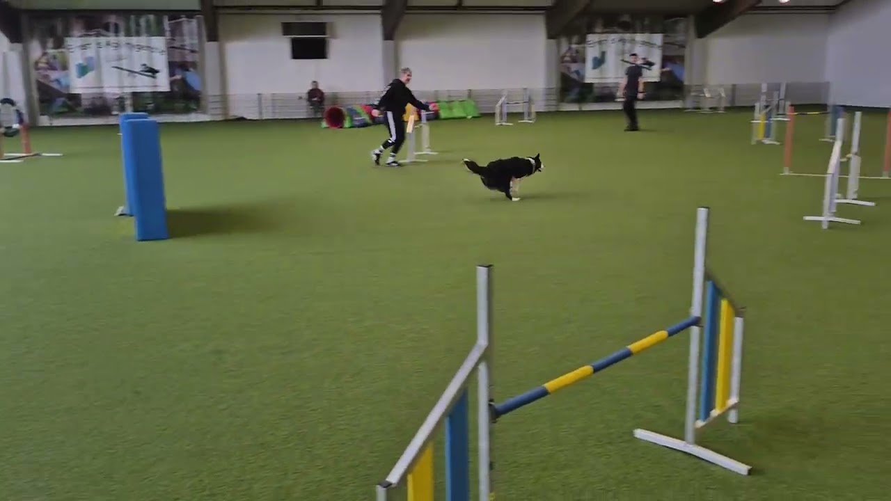 Turnier Vöhringen, 08 02 26, Beegy, J3, 1 Fehler, Platz 7