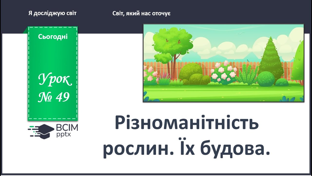 ЯДС 1 клас. Урок 49. Різноманітність рослин. Їх будова.