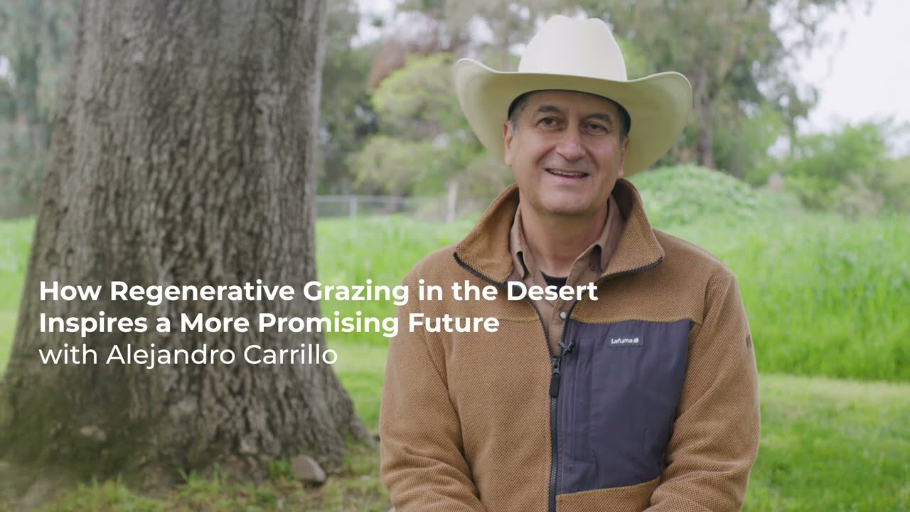 Alejandro Carrillo on How Regenerative Grazing in the Desert Inspires a More Promising Future
