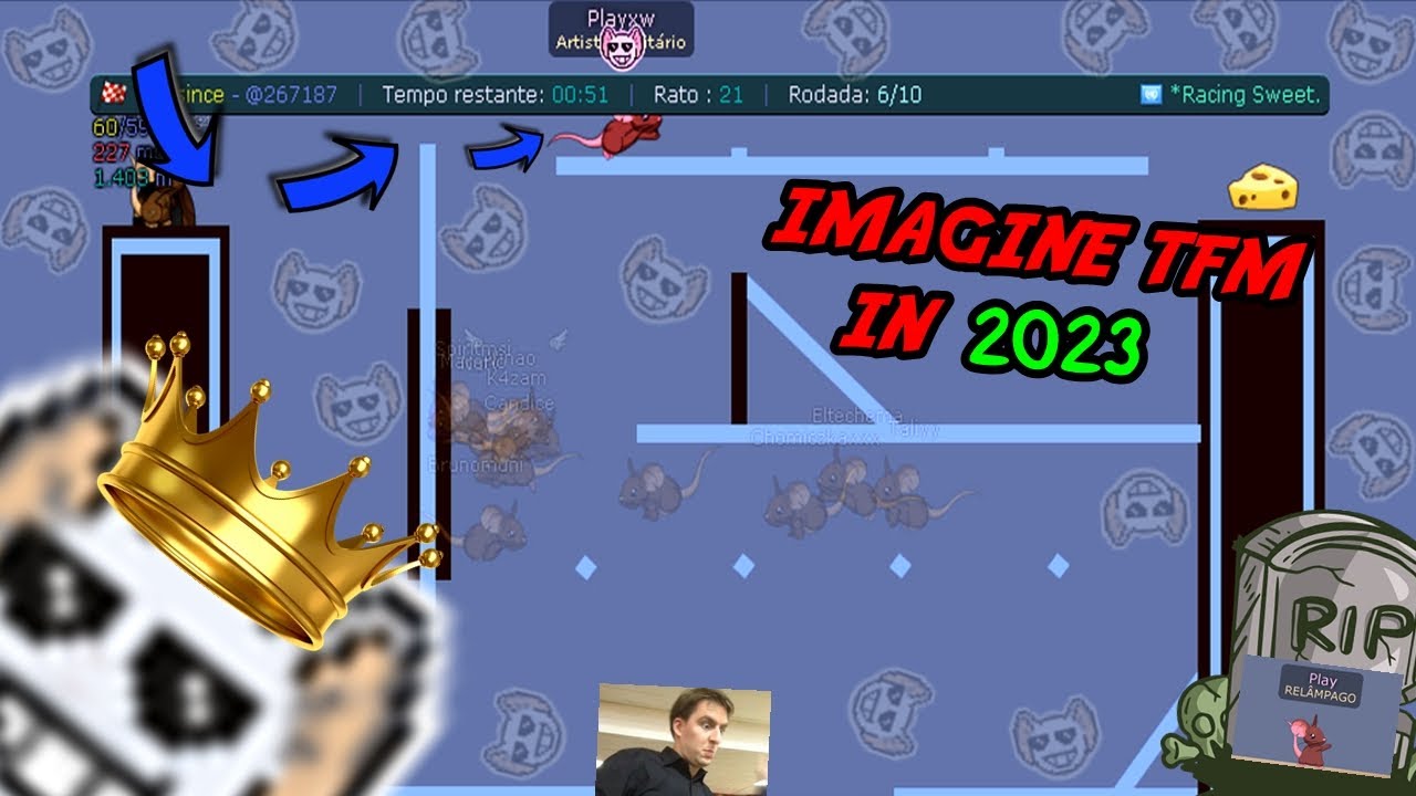 Imagine Playing Transformice In 2023