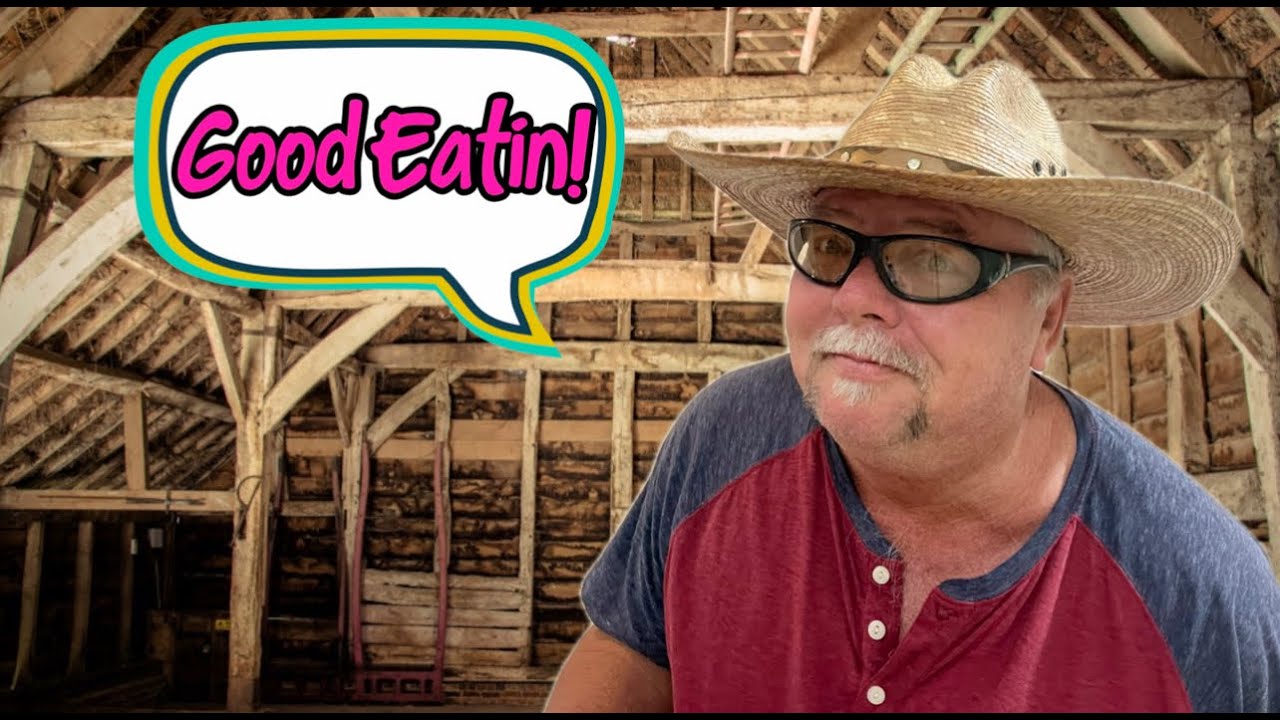 I Ate The Roadkill At The Dirty Ranch In Pattaya