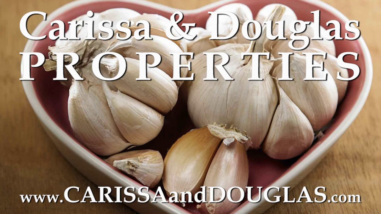 Moving to Connecticut? Check Out CT's Garlic & Harvest Festival   #CarissaAndDouglas