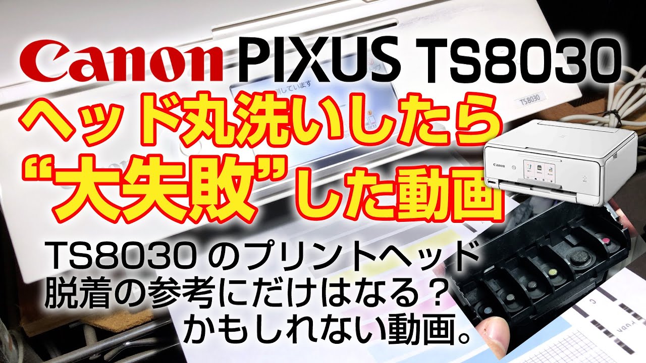 【キャノン ピクサス TS8030】プリントヘッド丸洗いしたら大失敗した動画【Canon PIXUS TS8030】
