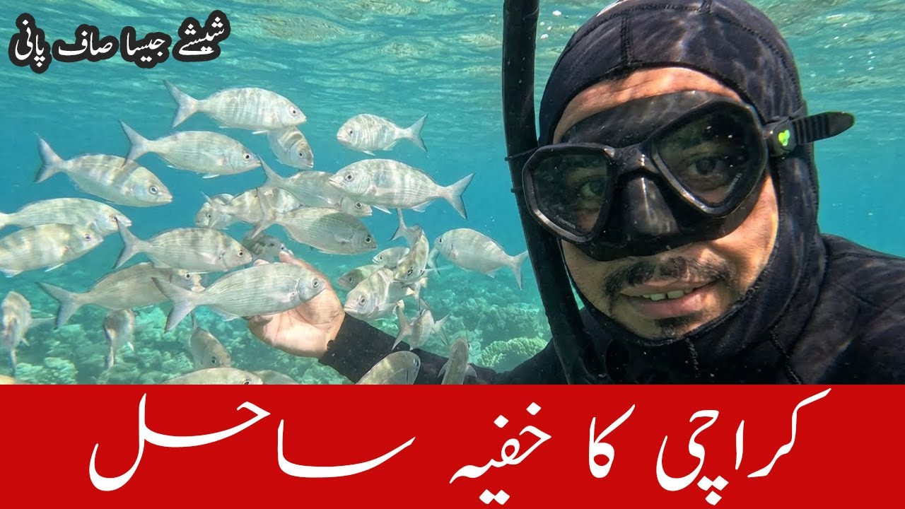 Freediving in Crystal Clear Water of Secrect Spot
