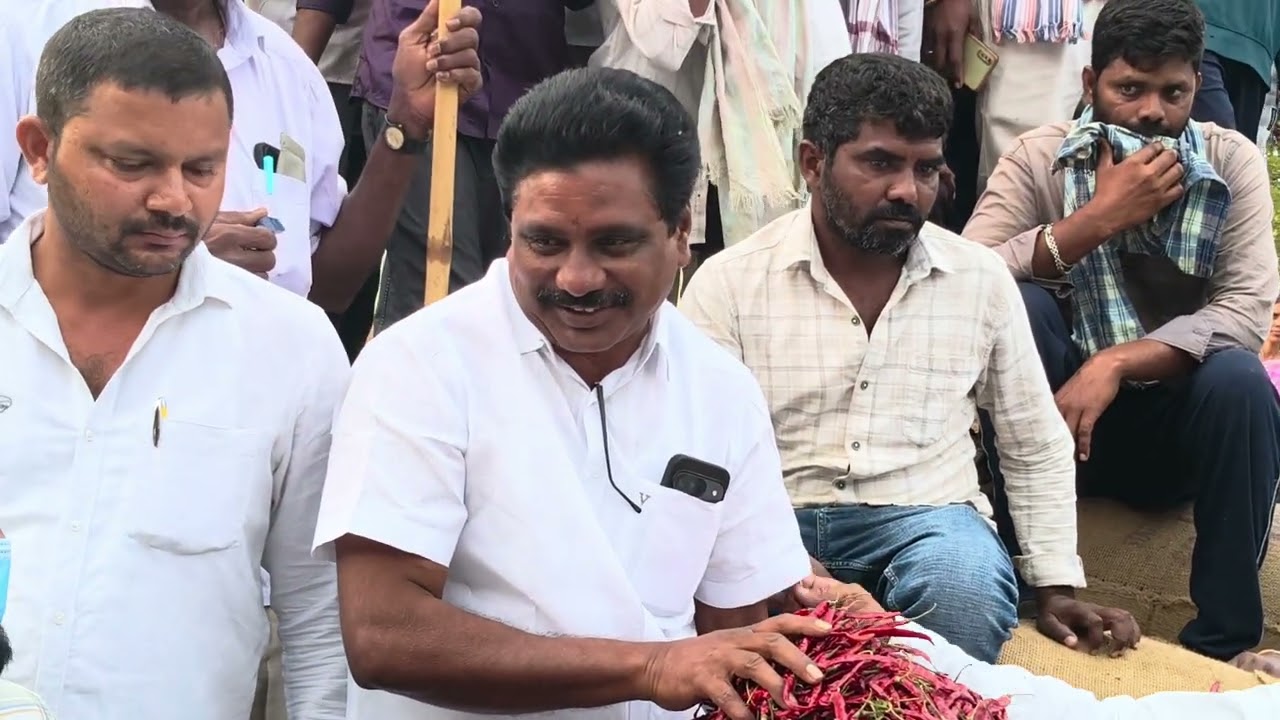 ఈరోజు ఖమ్మం మిర్చి మార్కెట్ తేజ రకం  జెండా పాట 🚩🚩🚩🔔🔔🔔🌶️🌶️🌶️సబ్స్క్రయిబ్ 👍🙏🙏🙏