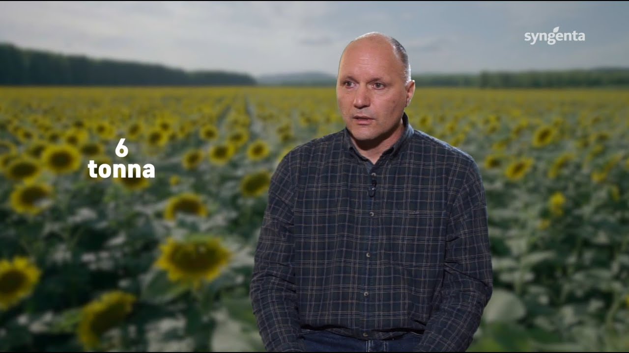 6 tonna - a napraforgó titkai - 5. rész