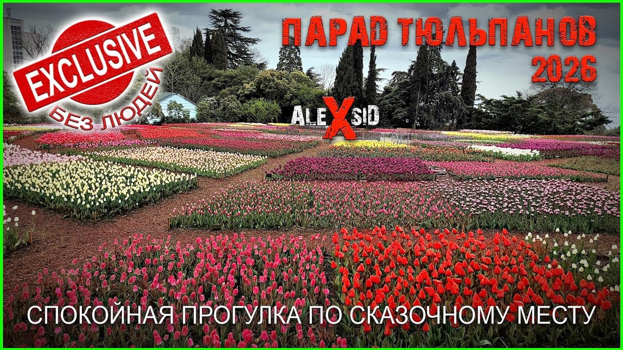 Эксклюзивный парад тюльпанов / Крым / Ялта